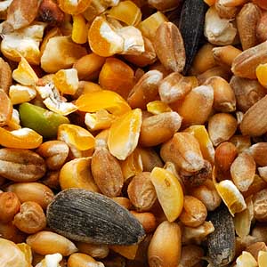 Garvo - 4133 Scharrelgraan (zonder gerst), 20 kg